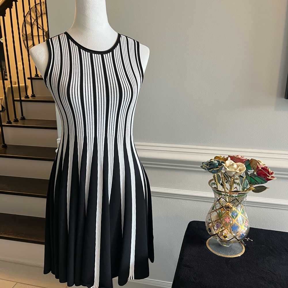 Black and White Striped Dress